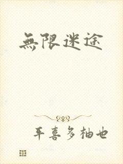 无限迷途封面