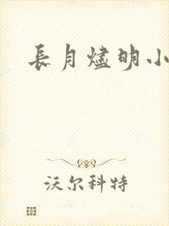 长月烬明小说