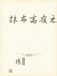 抹布高岭之花