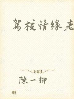 驾校情缘老赵