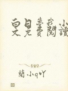 白日梦我小说全文免费阅读封面