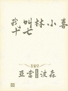 我叫林小喜今年十七封面