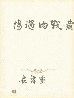 杨过肉战黄蓉