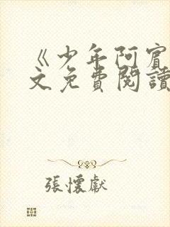 《少年阿宾》全文免费阅读