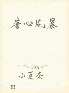 唐心风暴