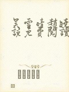 吴雪晴赵晓东小说免费阅读封面