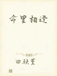命里相逢