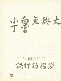 小白兔与大灰狼丁当