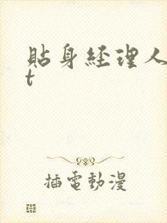 贴身经理人txt