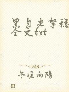 黑月光拿稳小说全文txt