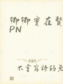 卿卿实在贤良NPN