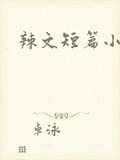辣文短篇小说