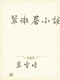 翠微居小说