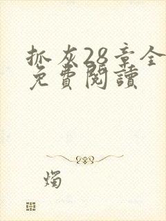 抓灰28章全部免费阅读