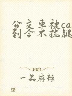 公交车被cao到合不拢腿视频