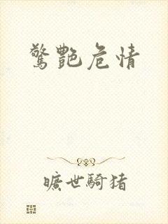 惊艳危情封面
