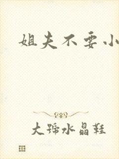 姐夫不要小说