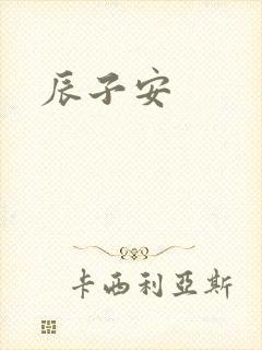辰子安