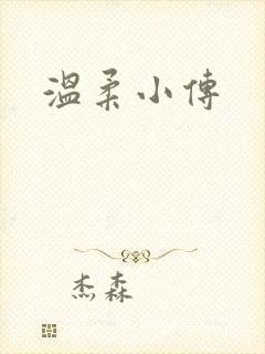 温柔小传封面