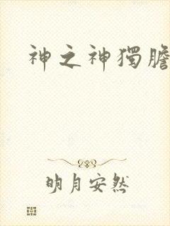 神之神独胆王