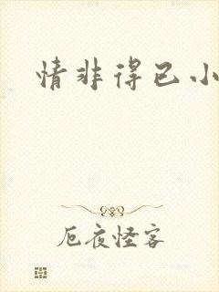 情非得已小说封面