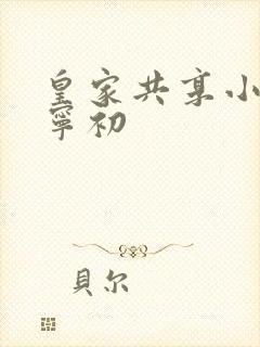 皇家共享小公主宁初