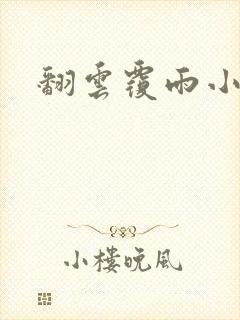 翻云覆雨小说