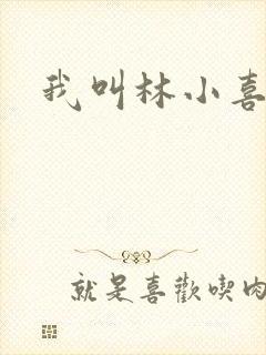 我叫林小喜17