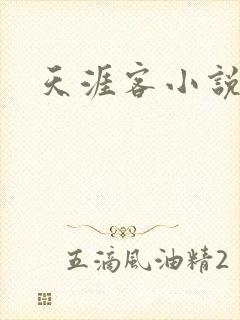 天涯客小说封面