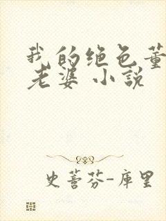 我的绝色董事长老婆 小说