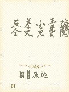 反差小青梅小说全文免费阅读