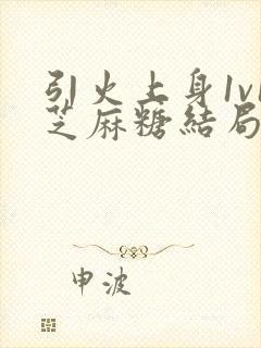 引火上身1v1芝麻糖结局封面