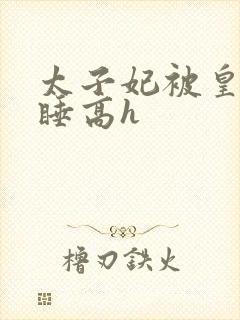 太子妃被皇上强睡高h封面