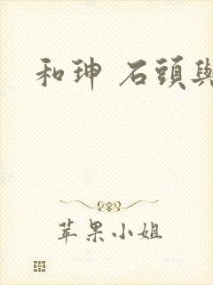 和珅 石头与水封面