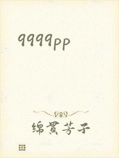 9999pp封面
