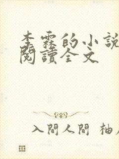 李霖的小说免费阅读全文封面