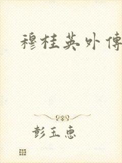 穆桂英外传