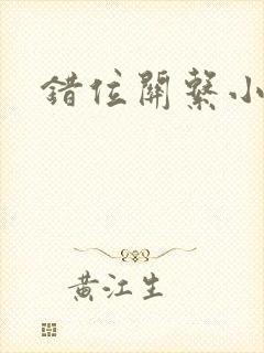 错位关系小说