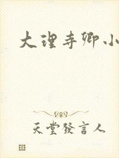大理寺卿小说