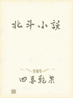 北斗小说封面