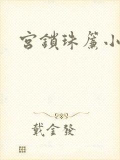 宫锁珠帘小说