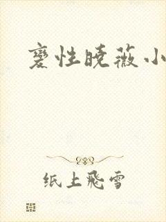 变性晓薇小说封面