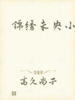 锦绣未央小说