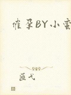 催孕BY小蛮腰