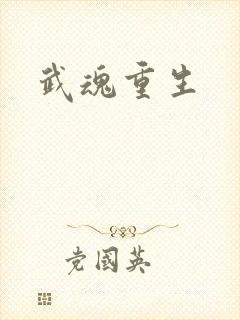 武魂重生封面