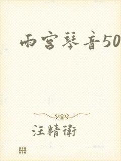 雨宫琴音500封面