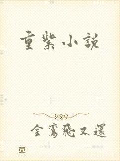 重紫小说