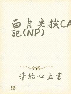 白月光挨CAO记(NP)