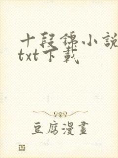 十段锦小说全本txt下载封面