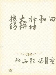 杨大壮和田桂花的耕地